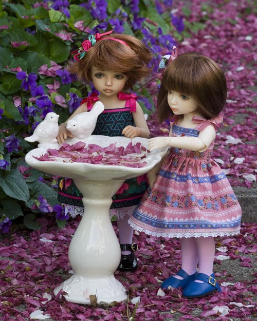The Bird Bath